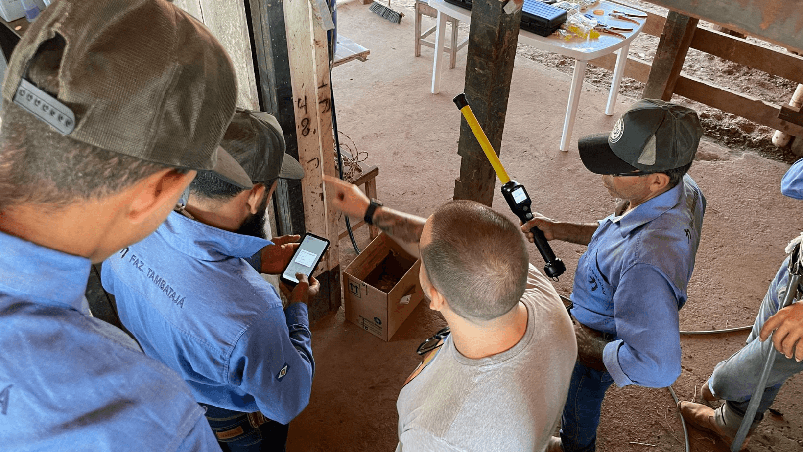GMD de fazenda de recria aumenta 92% em 6 meses