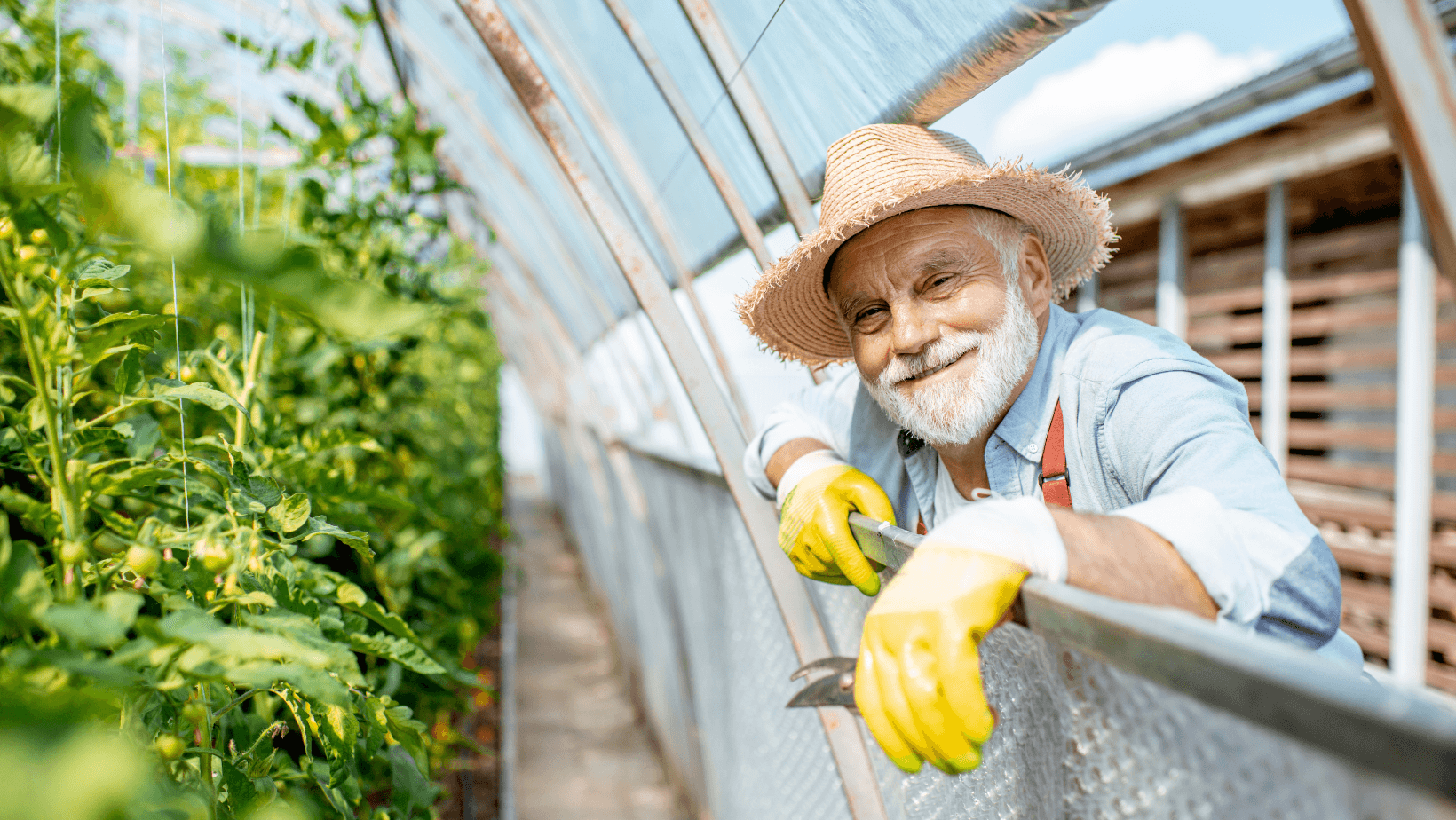 Agropecuária: Quais As Novas Demandas?